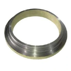 WEAR RING DURO 22 - DN200